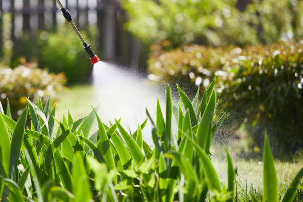 24/7 Emergency Pest Control experts in Howell, MI