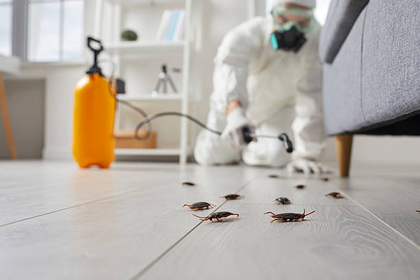 Affordable Pest Control solutions in Howell, MI